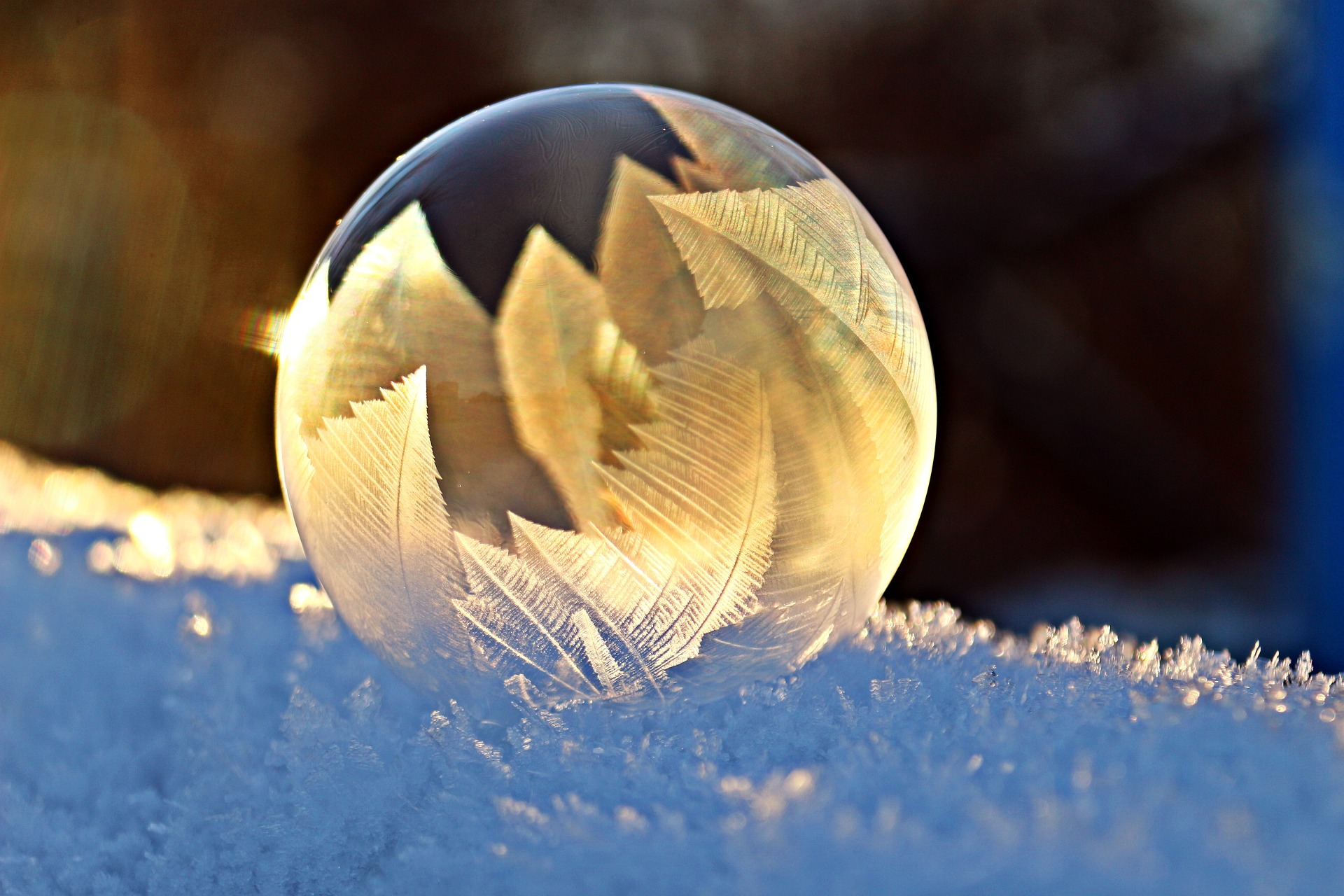 Ice crystals forming in snow bubble on frost forming during morning sunrise