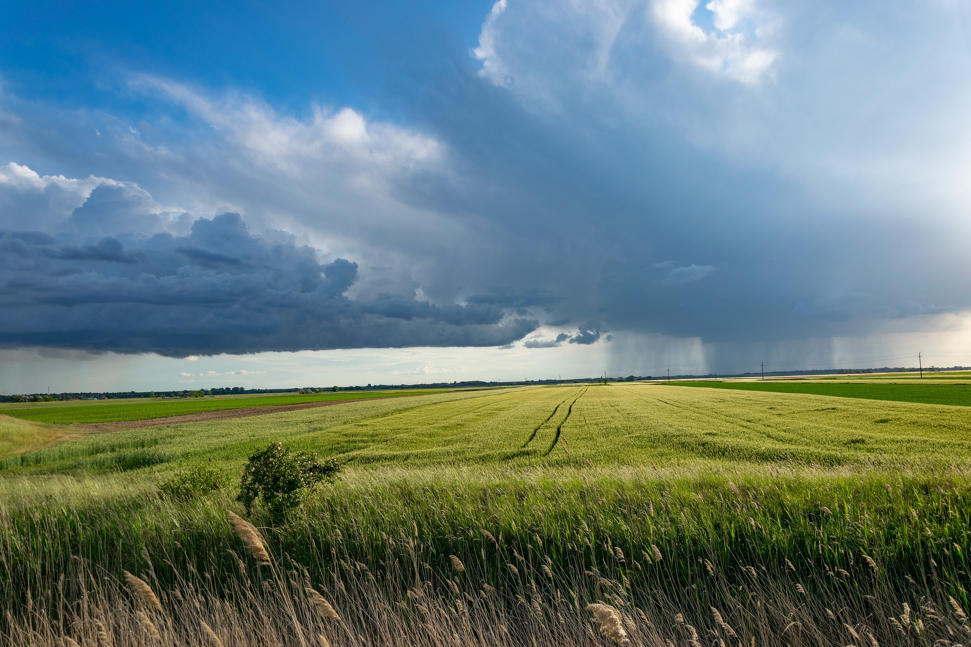 Thunderstorms rolling over wheat fields midwest USA